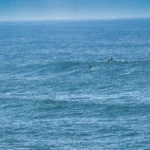 Four Days in Foiling Heaven — Steven’s Private Tow Foil Retreat in Portugal 6 Tow Foil Portugal 5